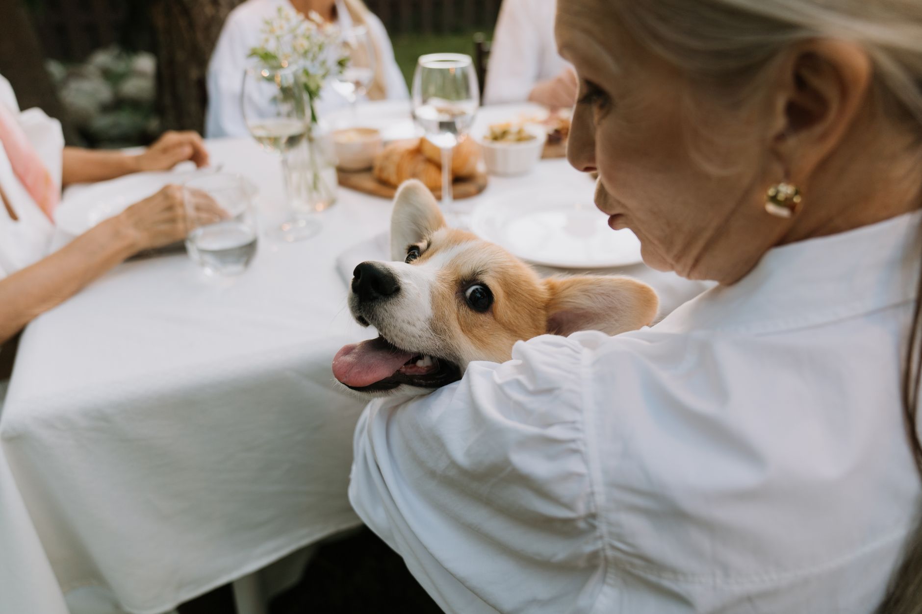 女士與柯基犬一起享受戶外用餐時光