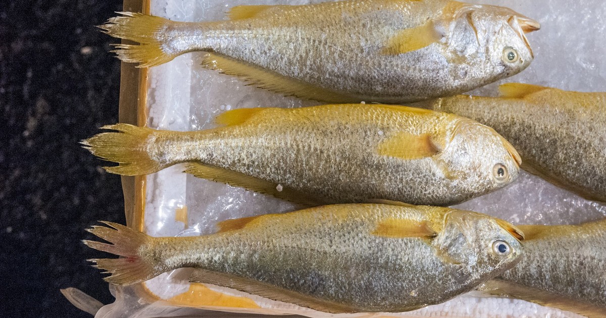 香港街市魚檔的鮮魚（食魚安全／汞含量示意圖）